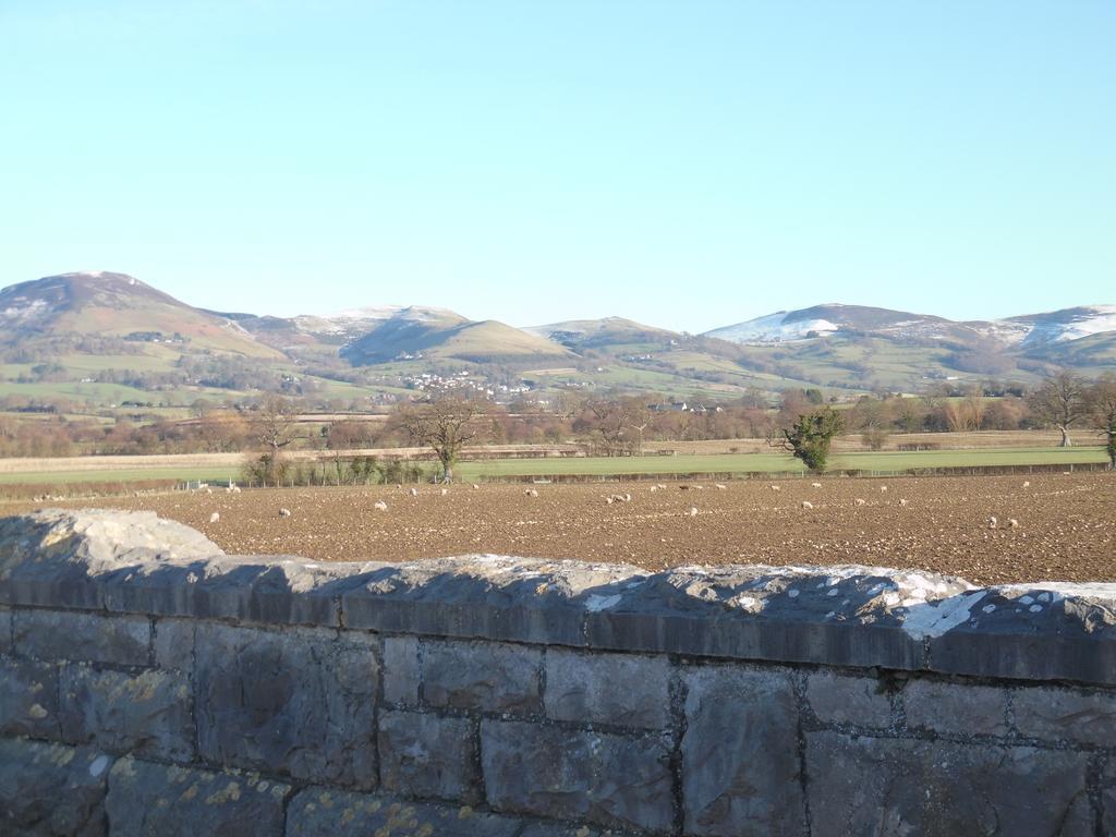 Granary At Tyddyn Isaf Vila Ruthin Exterior foto